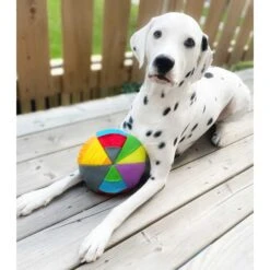 FouFIT Hide 'n Seek Disc Dog Toys, Multicolor -Snuggle Paws 528302 PT3. AC SS1800 V1657658561