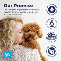 Vetnique Labs Dermabliss Anti-Bacterial & Anti-Fungal Ketoconazole Dog & Cat Spray, 8-oz Bottle -Snuggle Paws 528590 PT5. AC SS1800 V1701881895