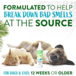 TropiClean Freshen Up Dog Deodorizing Spray, 8-oz Bottle -Snuggle Paws 531494 PT4. AC SS1800 V1684417093