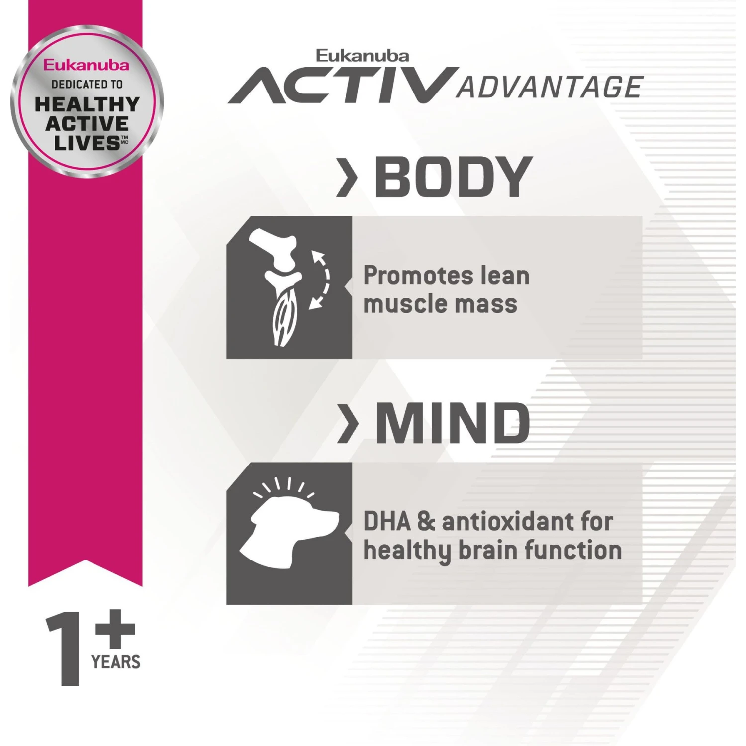 Eukanuba Fit Body Weight Control Large Breed Dry Dog Food 6 Eukanuba Fit Body Weight Control Large Breed Dry Dog Food - Image 4