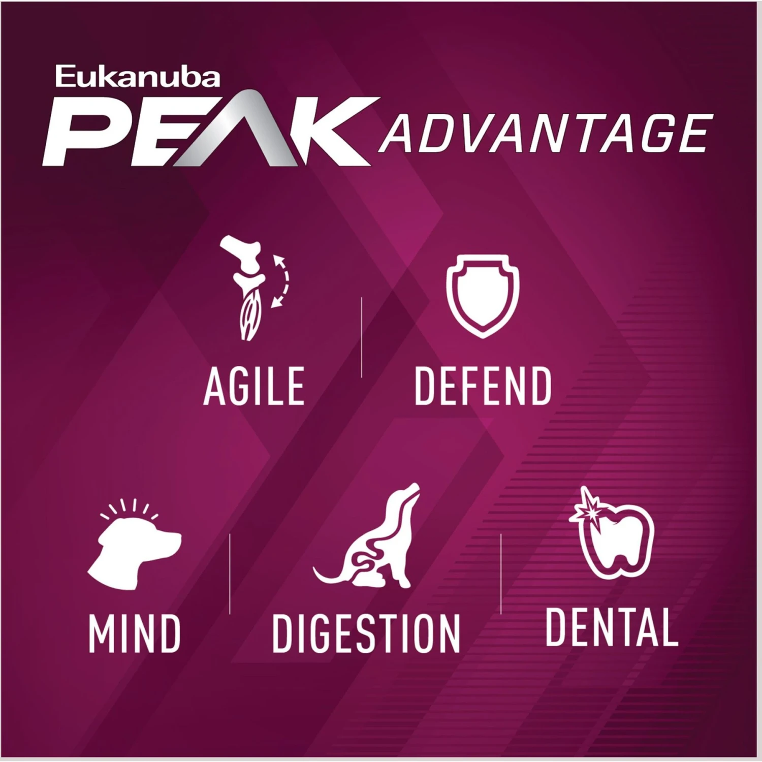 Eukanuba Premium Performance 21/13 SPRINT Adult Dry Dog Food 7 Eukanuba Premium Performance 21/13 SPRINT Adult Dry Dog Food - Image 5