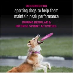 Eukanuba Premium Performance 21/13 SPRINT Adult Dry Dog Food 16 Eukanuba Premium Performance 21/13 SPRINT Adult Dry Dog Food -Snuggle Paws 533190 PT5. AC SS1800 V1677085183