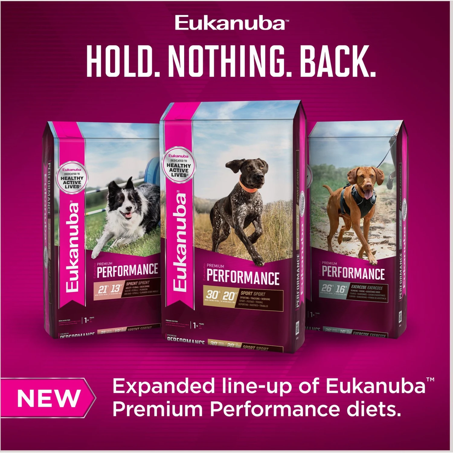 Eukanuba Premium Performance 21/13 SPRINT Adult Dry Dog Food 11 Eukanuba Premium Performance 21/13 SPRINT Adult Dry Dog Food - Image 9