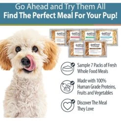 JustFoodForDogs Sampler Variety Box Frozen Human-Grade Fresh Dog Food -Snuggle Paws 536782 PT3. AC SS1800 V1666299580