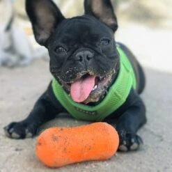 Ruff Dawg Peanut Treat Dispenser Dog Toy, Color Varies -Snuggle Paws 53810 PT2. AC SS1800 V1602300361