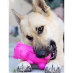 Ruff Dawg Gummy Bear Treat Dispenser Dog Toy, Color Varies -Snuggle Paws 53877 PT4. AC SS1800 V1542666139