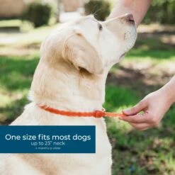 Wondercide Peppermint Flea & Tick Dog Collar 10 Wondercide Peppermint Flea & Tick Dog Collar -Snuggle Paws 550726 PT3. AC SS1800 V1701364512