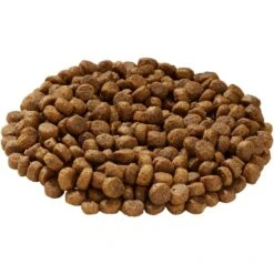 Health Extension Grain-Free Salmon Recipe Dry Dog Food & Health Extension Grain-Free Oven Baked Salmon Recipe With Kale Dog Treats -Snuggle Paws 551694 PT4. AC SS1800 V1657659453