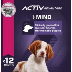 Eukanuba Puppy Medium Breed Dry Dog Food -Snuggle Paws 552334 PT5. AC SS1800 V1658217345