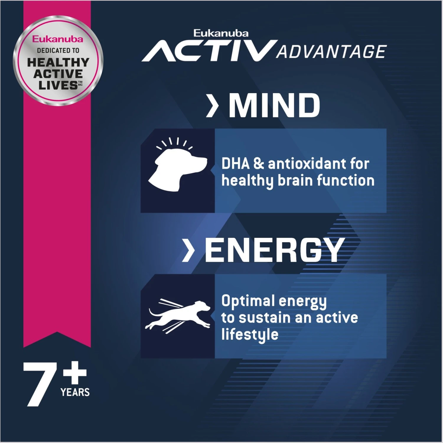 Eukanuba Senior Large Breed Dry Dog Food 6 Eukanuba Senior Large Breed Dry Dog Food - Image 4