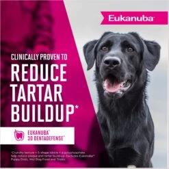 Eukanuba Adult Lamb 1st Ingredient Dry Dog Food -Snuggle Paws 552406 PT8. AC SS1800 V1677167322