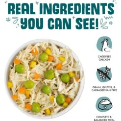 Weruva Funky Chunky Chicken Soup With Pumpkin Grain-Free Canned Dog Food -Snuggle Paws 55588 PT2. AC SS1800 V1641841015