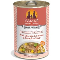 Weruva Jammin' Salmon With Chicken & Salmon In Pumpkin Soup Grain-Free Canned Dog Food
