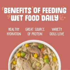 Weruva Jammin' Salmon With Chicken & Salmon In Pumpkin Soup Grain-Free Canned Dog Food -Snuggle Paws 55596 PT4. AC SS1800 V1641838291