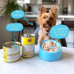 Weruva Jammin' Salmon With Chicken & Salmon In Pumpkin Soup Grain-Free Canned Dog Food -Snuggle Paws 55596 PT8. AC SS1800 V1641841355