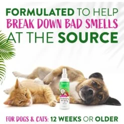 TropiClean Berry Breeze Deodorizing Dog & Cat Spray -Snuggle Paws 55641 PT4. AC SS1800 V1684410066