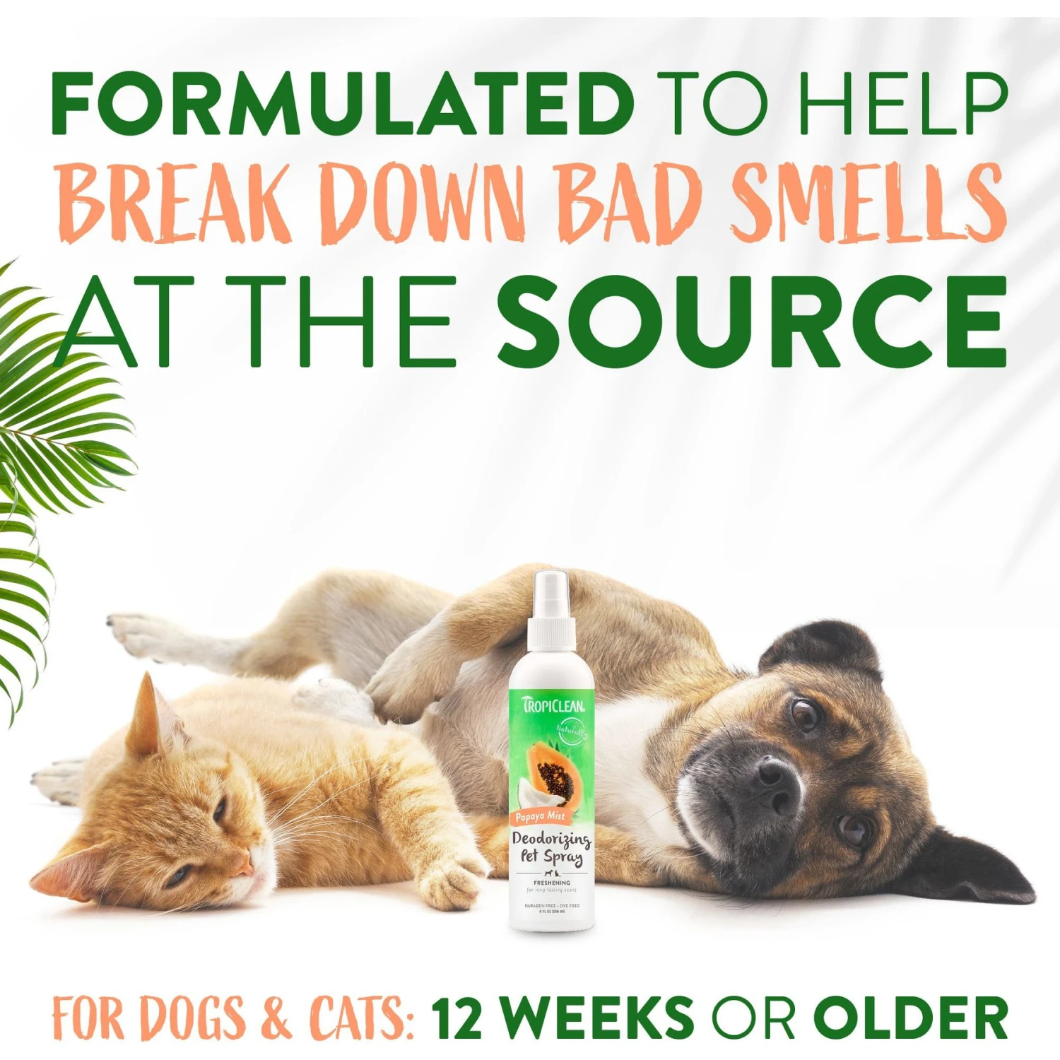 TropiClean Papaya Deodorizing Dog & Cat Spray 6 TropiClean Papaya Deodorizing Dog & Cat Spray - Image 4