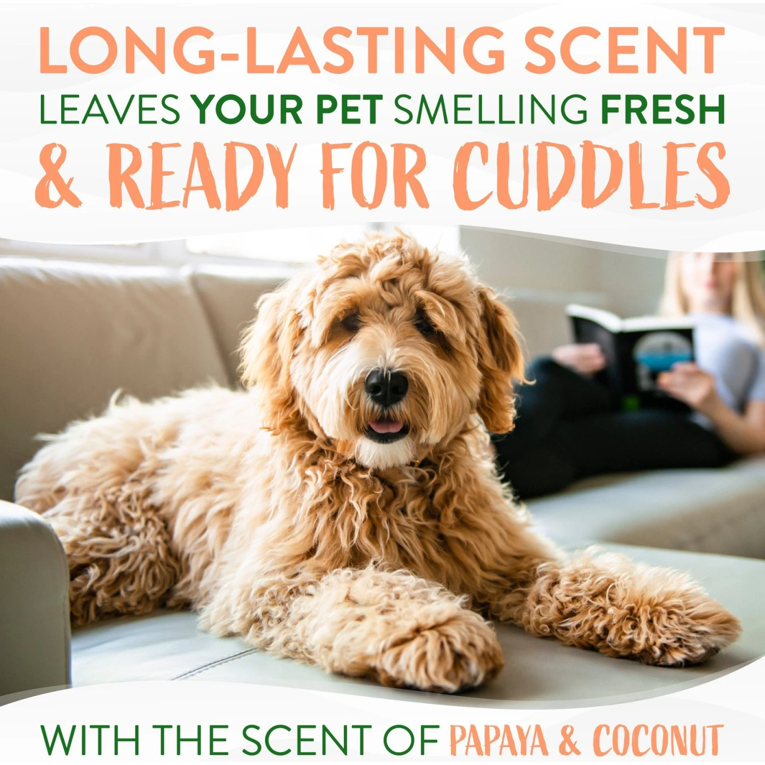 TropiClean Papaya Deodorizing Dog & Cat Spray 7 TropiClean Papaya Deodorizing Dog & Cat Spray - Image 5