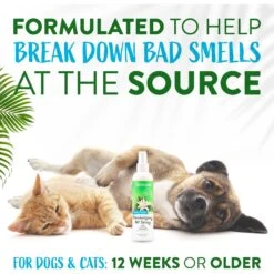 TropiClean Baby Powder Deodorizing Dog & Cat Spray -Snuggle Paws 55644 PT4. AC SS1800 V1684417486