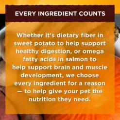 Nature's Recipe Ground Lamb, Rice & Barley Recipe Wet Dog Food 16 Nature's Recipe Ground Lamb, Rice & Barley Recipe Wet Dog Food -Snuggle Paws 56219 PT5. AC SS1800 V1676042041