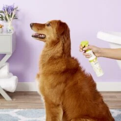 Nootie Cucumber Melon Daily Spritz For Dogs -Snuggle Paws 56737 PT3. AC SS1800 V1542825252