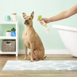 Nootie Coconut Lime Verbena Daily Spritz For Dogs -Snuggle Paws 56740 PT3. AC SS1800 V1542825297
