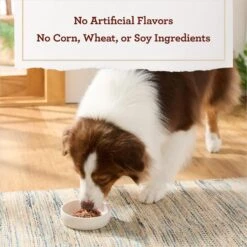 True Acre Foods Filet Mignon Flavor Tender Loaf In Gravy, Wet Dog Food Cups -Snuggle Paws 569366 PT5. AC SS1800 V1670335791