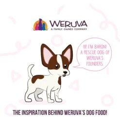 Weruva Meals 'n More Natural Wet Dog Food, Amazon Livin' Plus Digestive Support, 3.5-oz Cup, 12 Count -Snuggle Paws 578446 PT7. AC SS1800 V1695828647