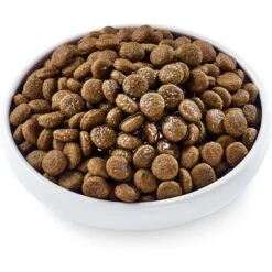 Applaws Spout Beef Bone Broth With Turmeric & Parsley Wet Dog Food Topper -Snuggle Paws 580694 PT3. AC SS1800 V1657660746