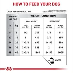 Royal Canin Veterinary Diet Adult Hepatic Loaf Canned Dog Food 17 Royal Canin Veterinary Diet Adult Hepatic Loaf Canned Dog Food -Snuggle Paws 58624 PT6. AC SS1800 V1691702091