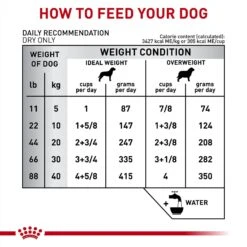 Royal Canin Veterinary Diet Adult Gastrointestinal Moderate Calorie Dry Dog Food 17 Royal Canin Veterinary Diet Adult Gastrointestinal Moderate Calorie Dry Dog Food -Snuggle Paws 58686 PT6. AC SS1800 V1691506494