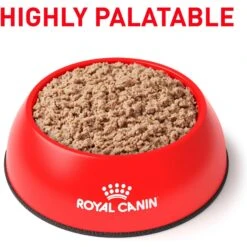 Royal Canin Veterinary Diet Adult Glycobalance Loaf In Sauce Canned Dog Food -Snuggle Paws 58700 PT2. AC SS1800 V1641861707