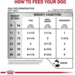 Royal Canin Veterinary Diet Adult Glycobalance Loaf In Sauce Canned Dog Food -Snuggle Paws 58700 PT4. AC SS1800 V1641857485