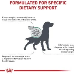 Royal Canin Veterinary Diet Adult Satiety Support Weight Management Dry Dog Food -Snuggle Paws 58750 PT2. AC SS1800 V1661829596