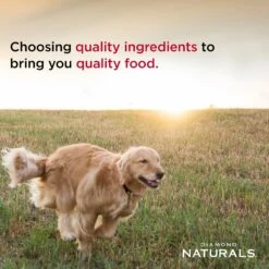 Diamond Naturals Extreme Athlete Formula Dry Dog Food 12 Diamond Naturals Extreme Athlete Formula Dry Dog Food -Snuggle Paws 59935 PT4. AC SS1800 V1635740212