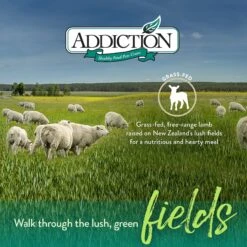 Addiction Grain-Free Le Lamb Dry Dog Food -Snuggle Paws 60103 PT4. AC SS1800 V1605918712