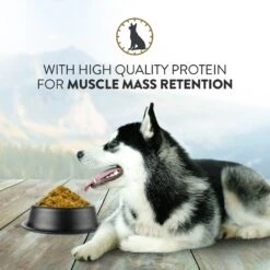 Addiction Steakhouse Beef & Zucchini Entree Raw Dehydrated Dog Food 15 Addiction Steakhouse Beef & Zucchini Entree Raw Dehydrated Dog Food -Snuggle Paws 60118 PT4. AC SS1800 V1637723238