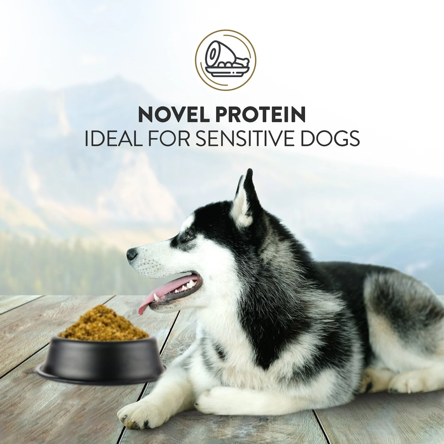 Addiction Perfect Summer Brushtail Raw Dehydrated Dog Food 7 Addiction Perfect Summer Brushtail Raw Dehydrated Dog Food - Image 5