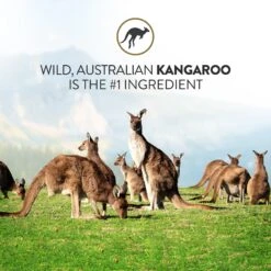 Addiction Outback Kangaroo Feast Raw Dehydrated Dog Food 14 Addiction Outback Kangaroo Feast Raw Dehydrated Dog Food -Snuggle Paws 60124 PT3. AC SS1800 V1637709733