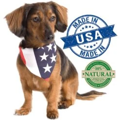 Vet's Best Anti-Flea Easy Spray Shampoo For Dogs -Snuggle Paws 60167 PT2. AC SS1800 V1632787881