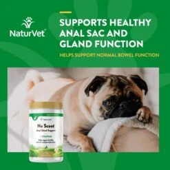 NaturVet No Scoot Plus Pumpkin Powder Digestive Supplement For Dogs -Snuggle Paws 60304 PT3. AC SS1800 V1698697703