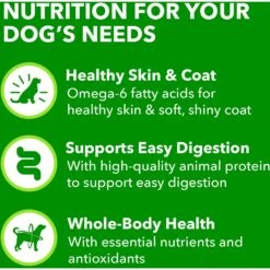 Iams ProActive Health Classic Ground With Chicken & Whole Grain Rice Adult Wet Dog Food -Snuggle Paws 604326 PT7. AC SS1800 V1658187318