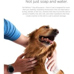 Pet Parents Pet WiPees Dog All Purpose Skin & Coat Dog Wipes, 100 Count 12 Pet Parents Pet WiPees Dog All Purpose Skin & Coat Dog Wipes, 100 Count -Snuggle Paws 614094 PT1. AC SS1800 V1695756647