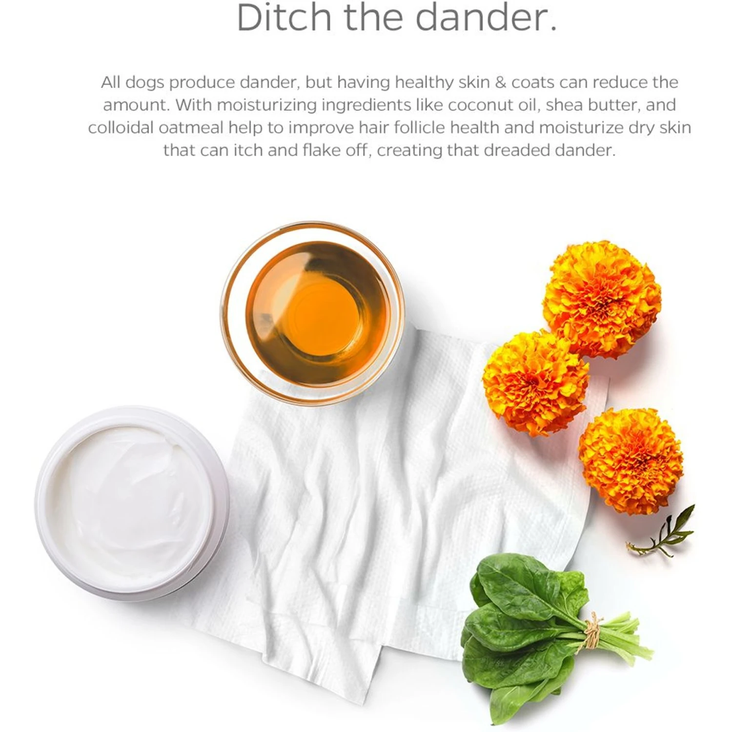 Pet Parents Pet WiPees Dog All Purpose Skin & Coat Dog Wipes, 100 Count 5 Pet Parents Pet WiPees Dog All Purpose Skin & Coat Dog Wipes, 100 Count - Image 3