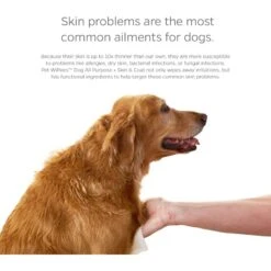 Pet Parents Pet WiPees Dog All Purpose Skin & Coat Dog Wipes, 100 Count 15 Pet Parents Pet WiPees Dog All Purpose Skin & Coat Dog Wipes, 100 Count -Snuggle Paws 614094 PT4. AC SS1800 V1695828707
