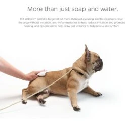 Pet Parents Pet WiPees Natural Scent Cat & Dog Gland Grooming Wipes, 100 Count -Snuggle Paws 614206 PT1. AC SS1800 V1695760239