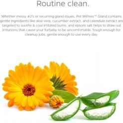 Pet Parents Pet WiPees Natural Scent Cat & Dog Gland Grooming Wipes, 100 Count -Snuggle Paws 614206 PT2. AC SS1800 V1695760242