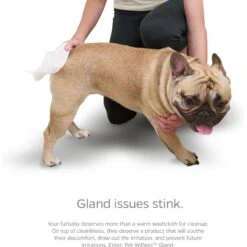 Pet Parents Pet WiPees Natural Scent Cat & Dog Gland Grooming Wipes, 100 Count -Snuggle Paws 614206 PT6. AC SS1800 V1695760359