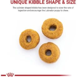 Royal Canin Breed Health Nutrition Labrador Retriever Puppy Dry Dog Food 14 Royal Canin Breed Health Nutrition Labrador Retriever Puppy Dry Dog Food -Snuggle Paws 61486 PT3. AC SS1800 V1697216753