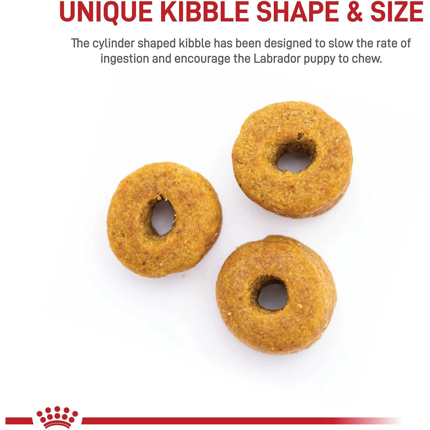 Royal Canin Breed Health Nutrition Labrador Retriever Puppy Dry Dog Food 6 Royal Canin Breed Health Nutrition Labrador Retriever Puppy Dry Dog Food - Image 4